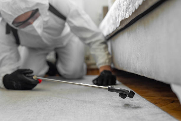 Professional Cockroach Control technician working in Monticello, WI
