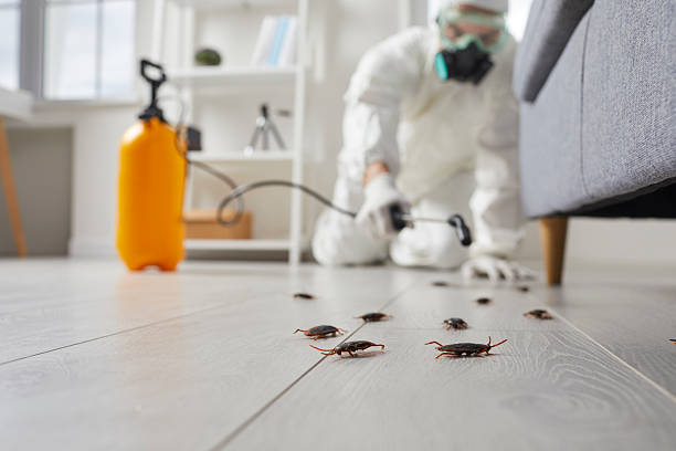 Trusted Cockroach Control service in Monticello, WI - Nex Pest Control