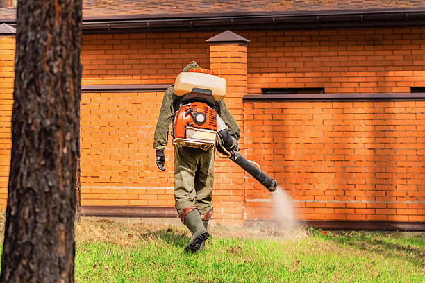 Trusted Ant Control service in Monticello, WI - Nex Pest Control